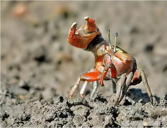 旅游中要点情怀？十大适合女人旅游的地方送给你（上）