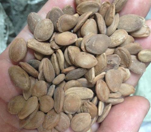 便秘十几年中医怎么调理,80岁的老人便秘偏方