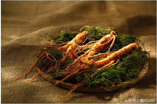 人参的十大神奇功效与作用是什么,人参几个特殊的功效和作用有哪些