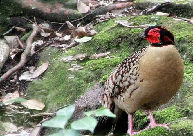 寻找最美摩旅线路10：蓝天清山碧水浙闽行