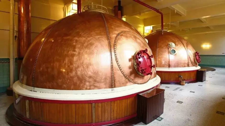 新西兰旅行与美食,新西兰美食之旅