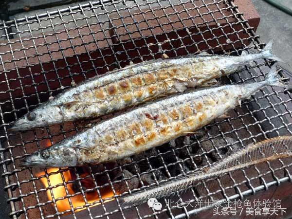 世界上顶级的鱼你认识几种,世界上你有可能没听过的十种鱼