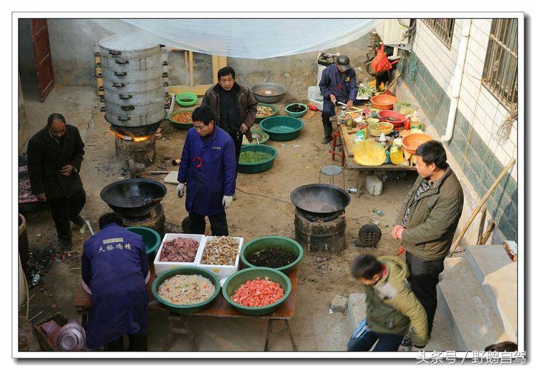 野鹅自驾甘肃,野鹅自驾