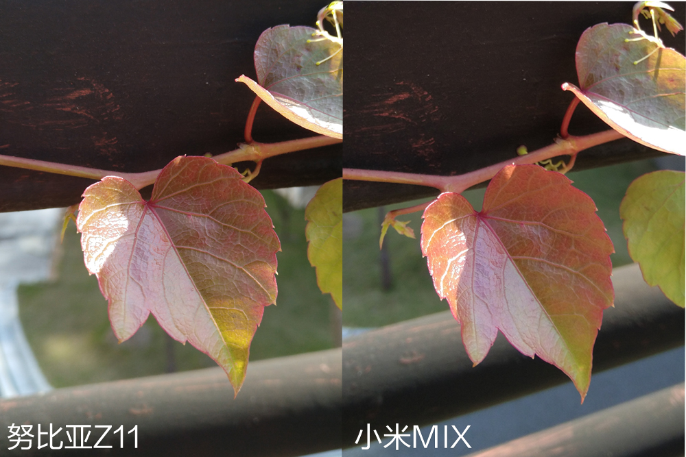 努比亚拍照对比小米14ultra,努比亚z60对比x100拍照