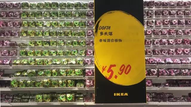 宜家总在打折?而你却总也找不到?