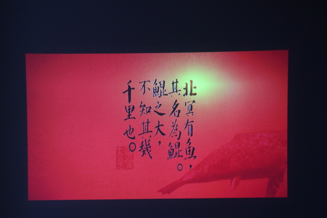 差点就完成了苹果三件套，年终败家晒一年又白干了