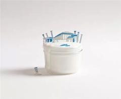 创意｜你的胃，会记得你走过的每个城市