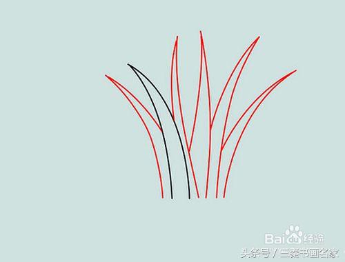 小草怎么画1000种画法,怎么样画小草又简单又好看