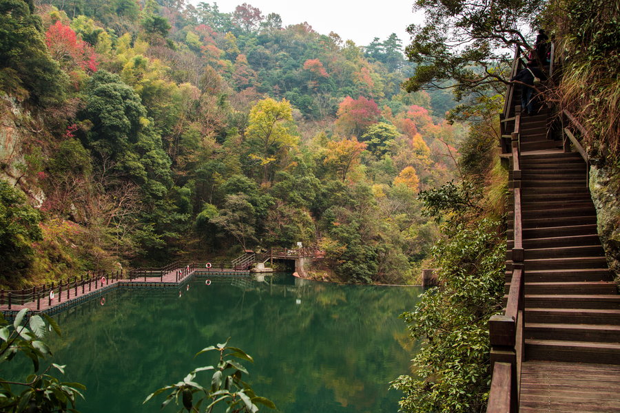 藏在深山无人识,石台县原始森林