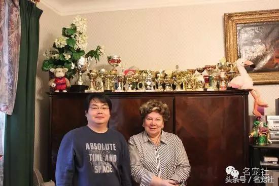 国内知名英国斗牛犬犬舍名单,法国斗牛犬犬舍视频