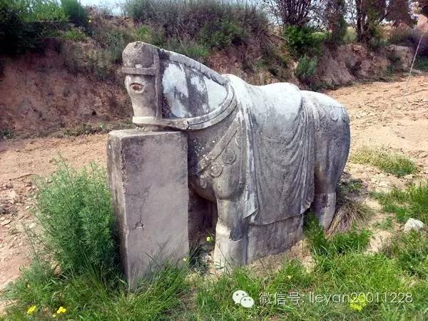 跨越千年时光看兵马俑,跨越千年唐十八陵