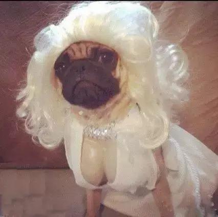 你永远想象不到身边的谁会成为下一个代购，心塞