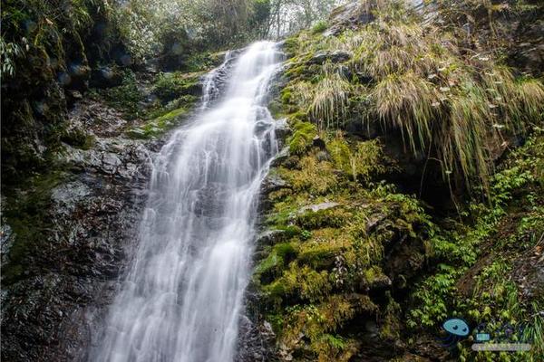 戏猴、爬山、观瀑布，那就跟我去卧龙谷！