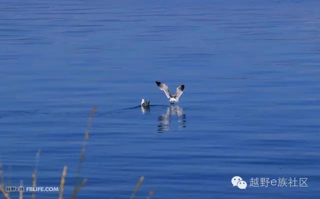 说走就走出去溜达,说走就走出去玩视频