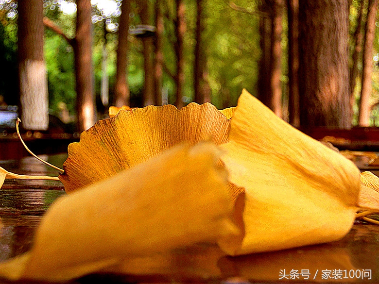 伙呆!杭州遇上地中海,是场最美丽的意外!