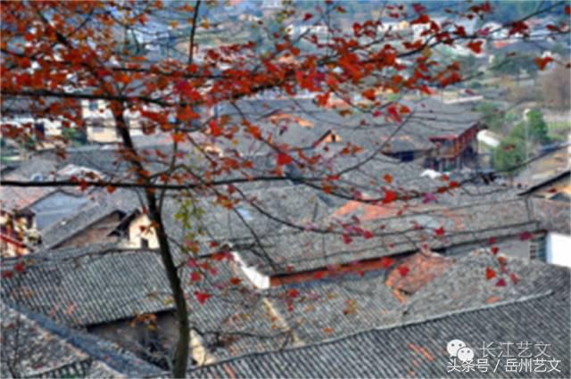 张谷英的历史故事,张谷英历史背景