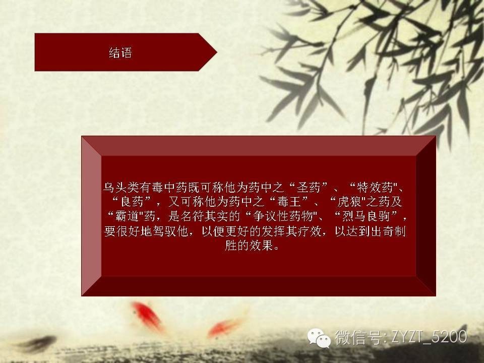 高鑫风湿医生,高鑫中医