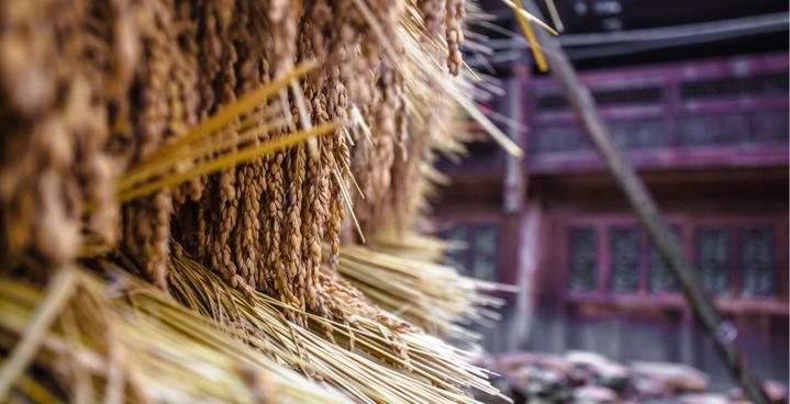 拥抱纯净世界，梦回黔东南