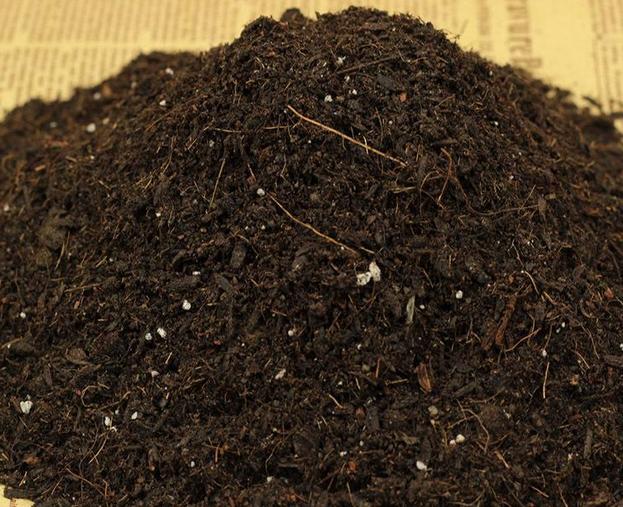 阳台种蔬菜种子的方法和技巧,阳台韭菜种子怎么样好发芽