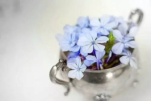 收集短的个性签名,收藏了很久的个性签名