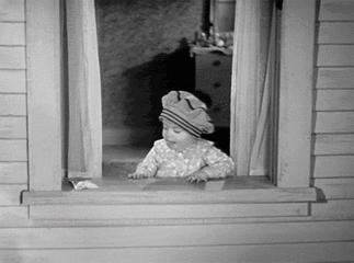 单身狗也要过精致的情人节,单身狗也要过520吗