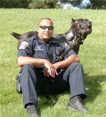 盘点十大帅气猛犬你值得拥有,十大猛犬排名加纳利