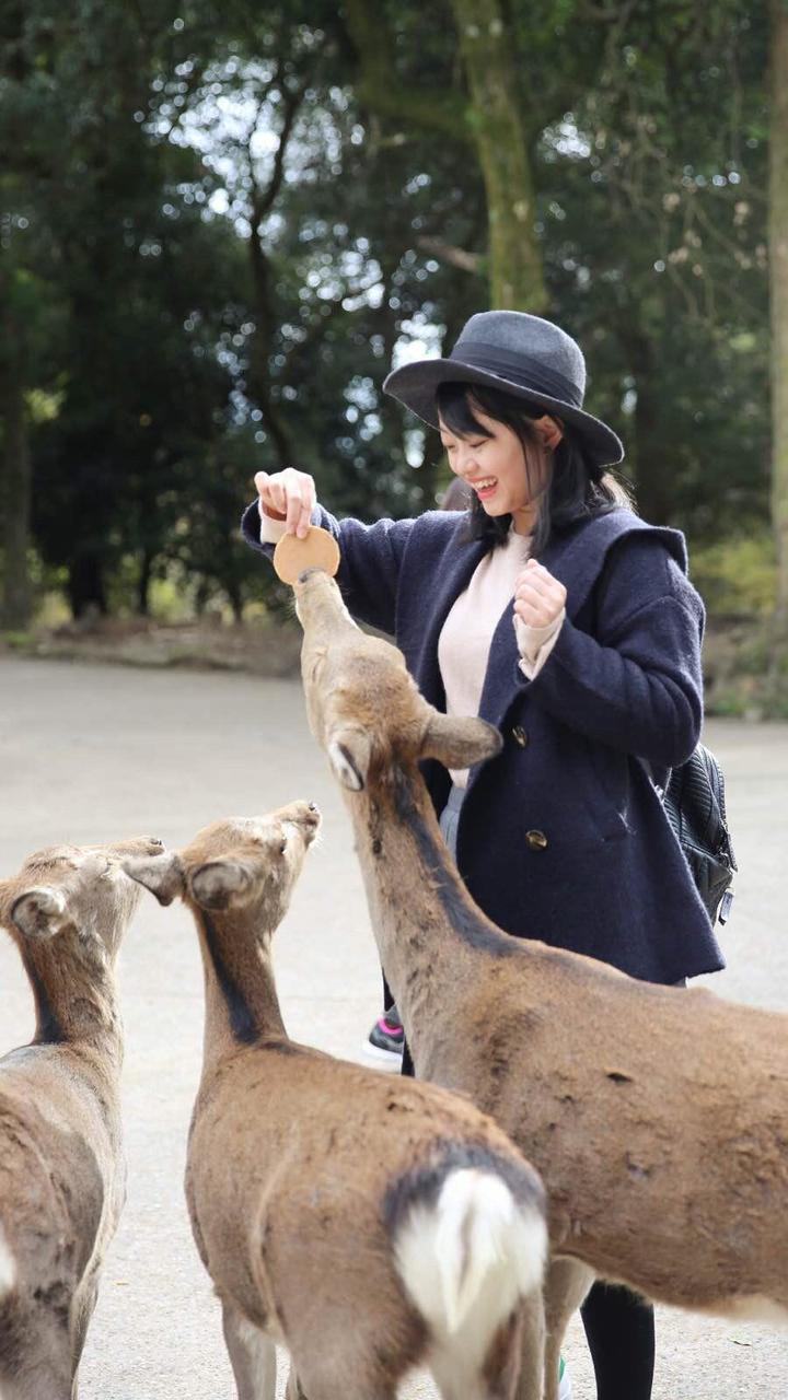 日本关西温泉圣地,日本关西房间内温泉
