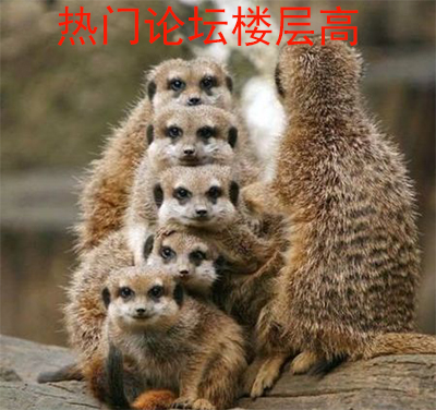 微商怎么拓客最快最有效,微商拓客源怎么做