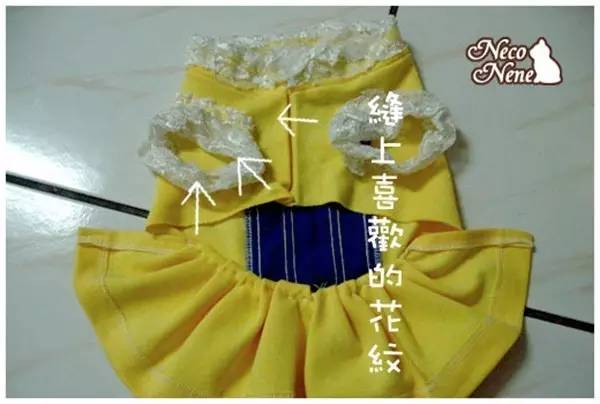 给狗狗洗澡的方法简单易学又省钱,学会这一招让狗狗乖乖听话