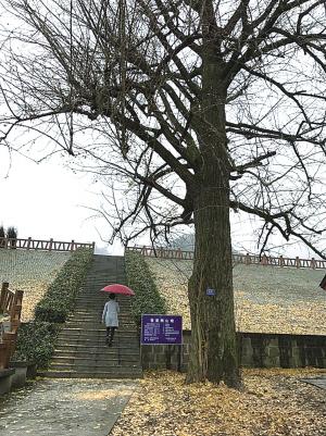 东钱湖旅游攻略徒步路线图,东钱湖环湖骑行攻略摩托