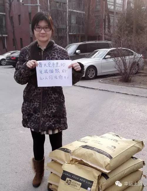 带喂了2年的流浪猫回家过年,公园里的流浪猫吃饱了