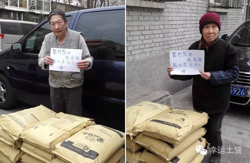 带喂了2年的流浪猫回家过年,公园里的流浪猫吃饱了