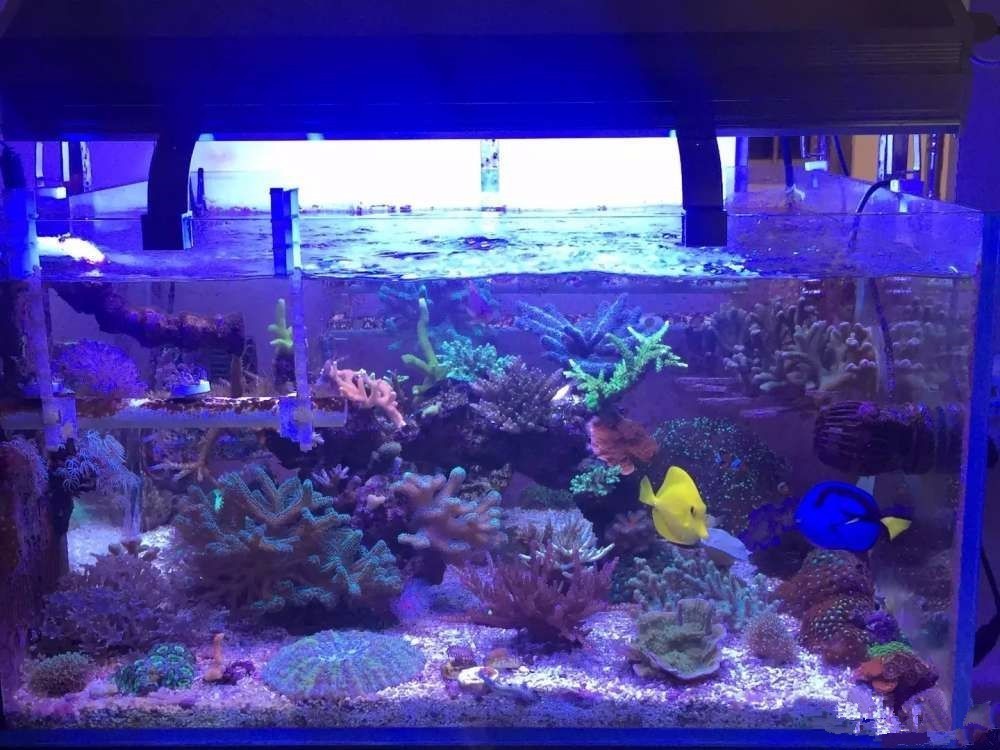 简单粗暴开啤酒,简单开个缸