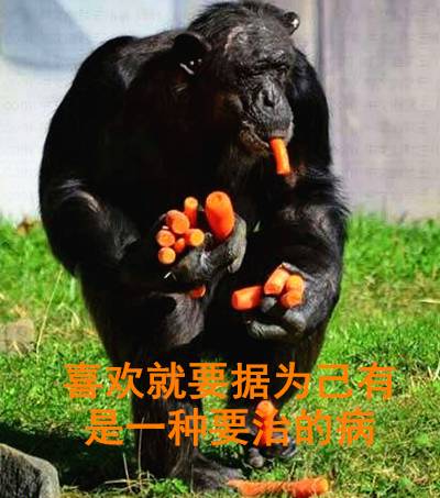 医院误给保胎孕妇吃打胎药,护士给孕妇吃打胎药