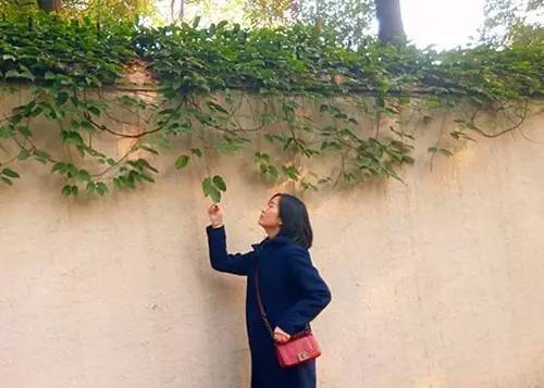 上海落叶不扫景观道,上海秋天不扫落叶的街道