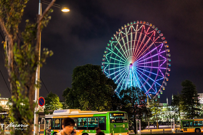 粉红猪小妹与小猪佩奇,粉红猪小妹的快乐生活
