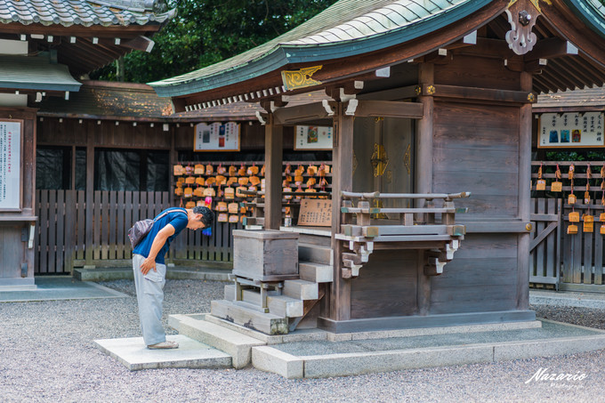 粉红猪小妹与小猪佩奇,粉红猪小妹的快乐生活