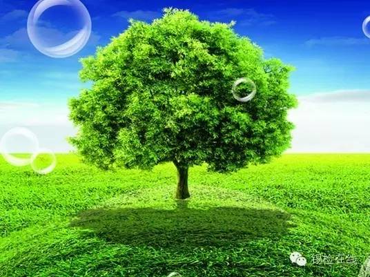 第343期：江阴退休教师耐心帮教折翼少年回正途