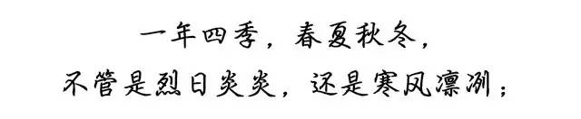 包头交警新闻最新,包头交警最新消息