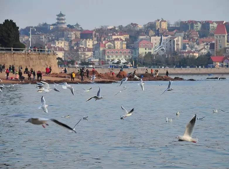 年轻人涌进北上广深是什么原因,部分年轻人重回北上广深