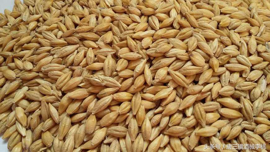 国外精酿啤酒制作全过程,外国人啤酒制作