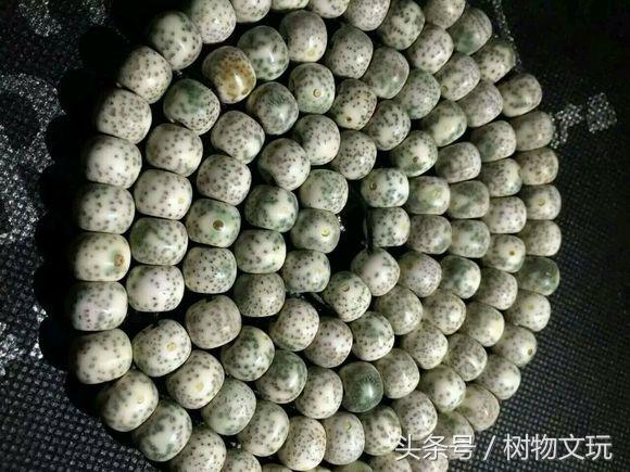 阴皮星月菩提包浆效果图,星月菩提走色的全过程