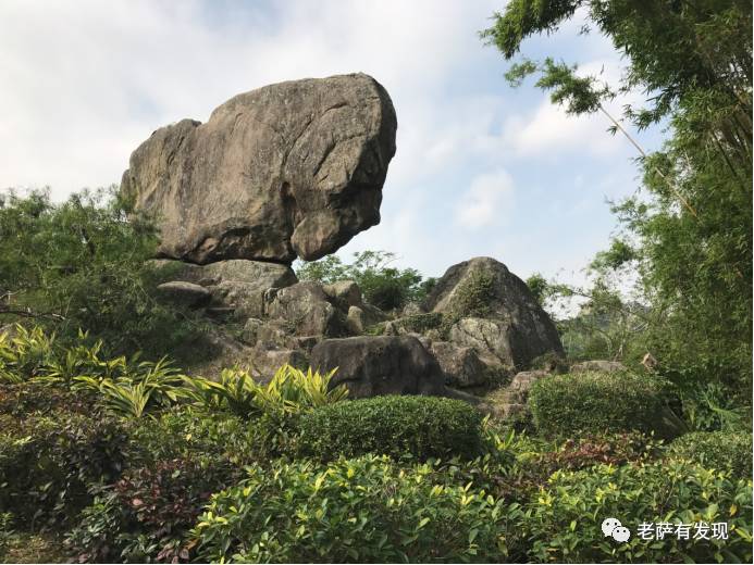 鼓浪屿连当兵的都会弹钢琴，原来是碰上了这位音乐老师