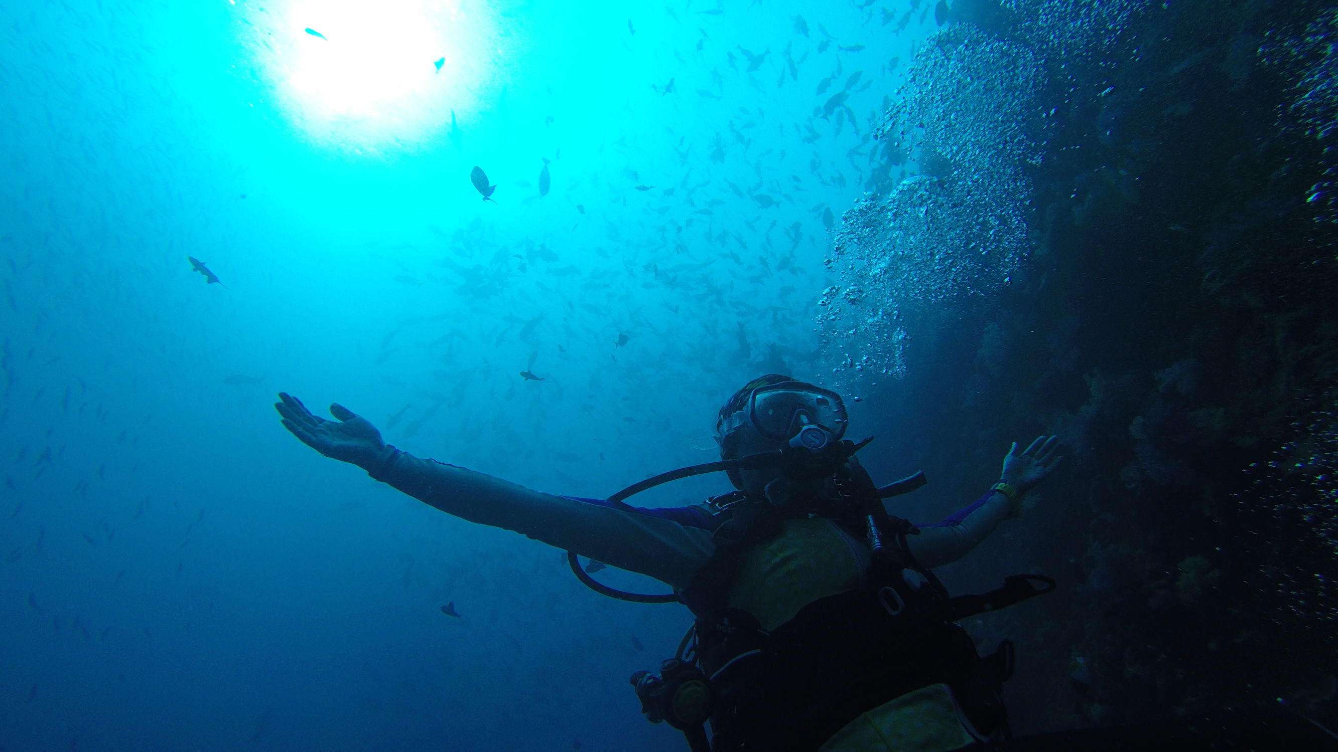 Mini帕劳，有片伟大的海洋（一）