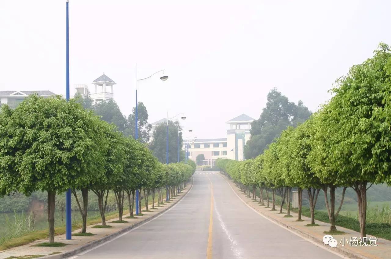 新旧老照片对比人物,新旧照片对比视频