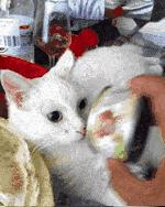 八骏图徐悲鸿,八骏图国画