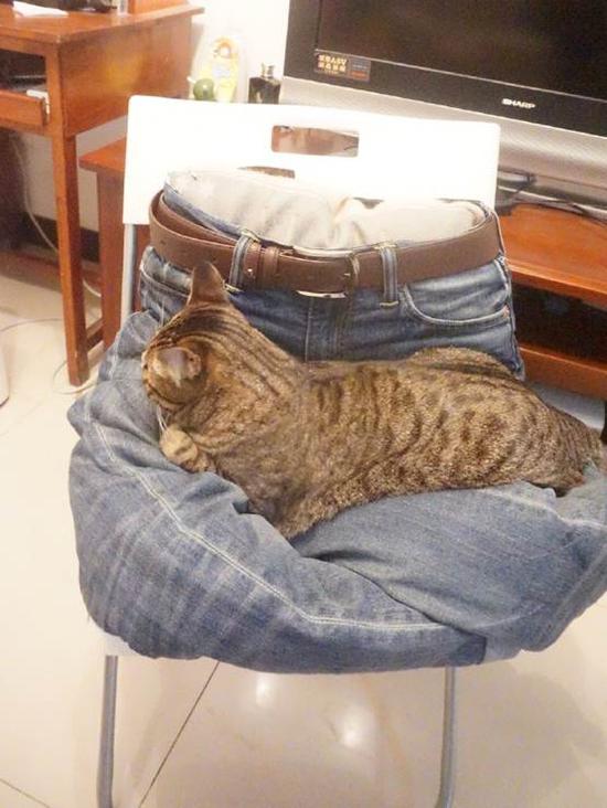 我的炫酷头盔,回头率百分百的头盔