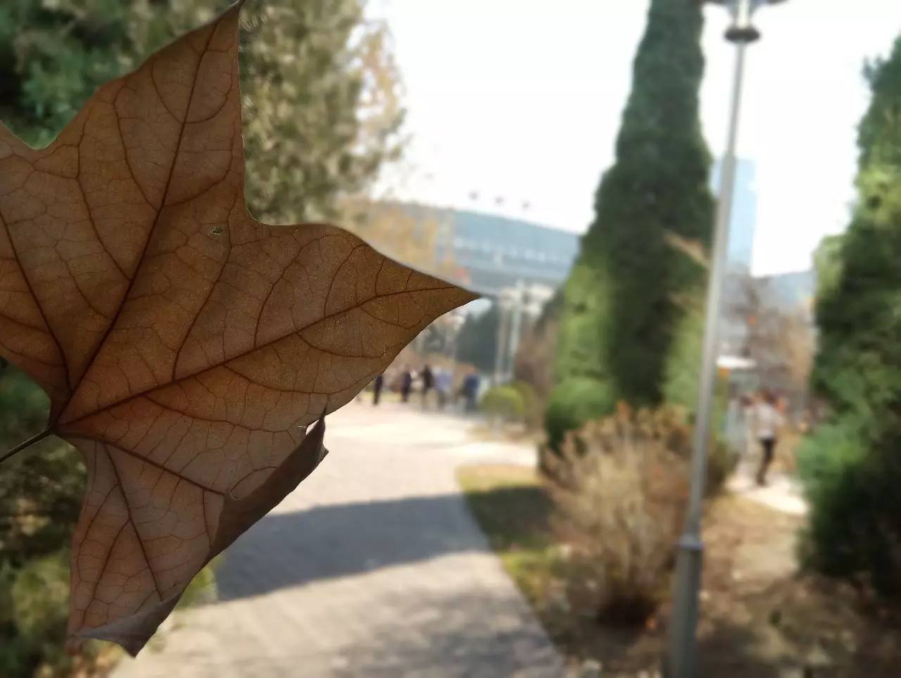 金立S9的怎么样,金立s9评测图片