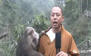 国内居然还私藏了一座“温暖之寺”！网红延参说这是一片忘忧之境