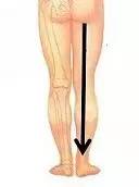 养肾健康第一重要,养肾三大秘法